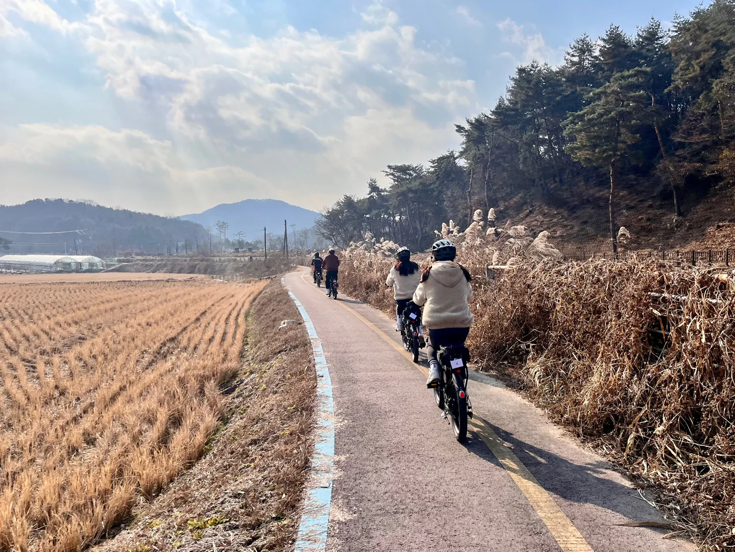 남한강 산책길